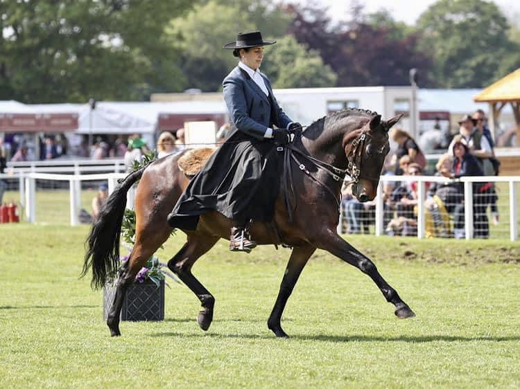 Leila Rahmatallah & Sussex Lusitanos mare Ditadora